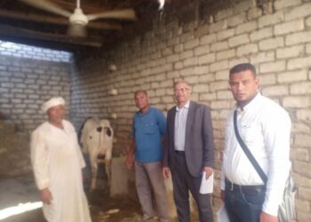 قطاع الثروة الحيوانية