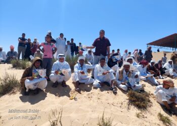 الثروة الحيوانية