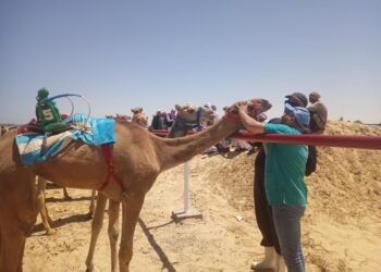 معهد بحوث التناسليات