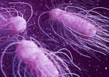 الأمراض النباتية