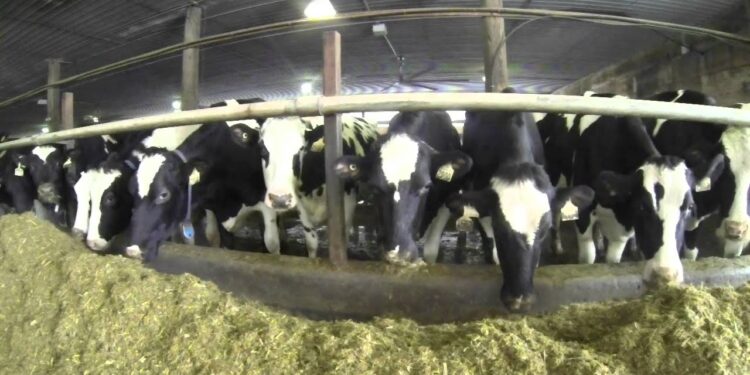 المحفزات الغذائية