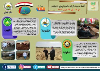 مركز المعلومات الصوتية