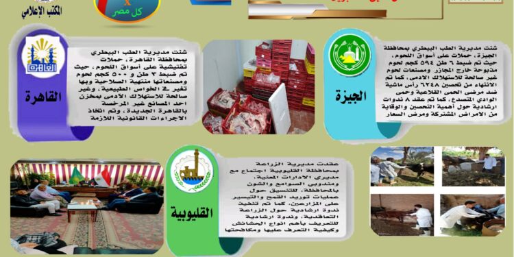 انفوجراف وفيديو.. تعرف على أنشطة مديريات الزراعة والطب البيطري فى أسبوع 1 انفوجراف وفيديو.. تعرف على أنشطة مديريات الزراعة والطب البيطري فى أسبوع