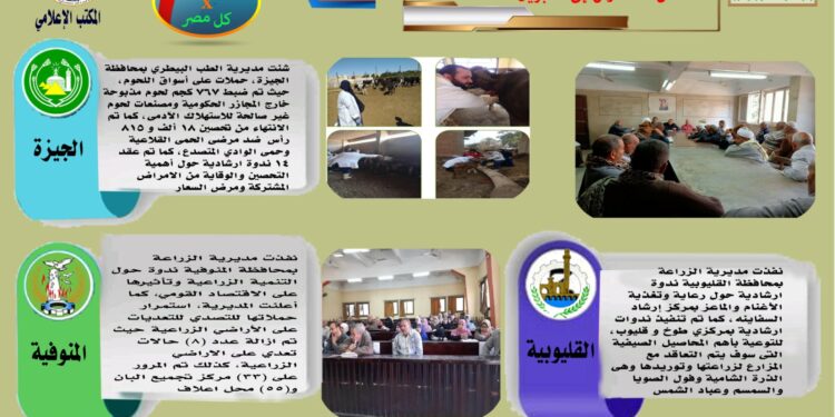 انفوجراف وفيديو.. تعرف على أنشطة وجهود مديريات الزراعة والطب البيطري خلال أسبوع 1 انفوجراف وفيديو.. تعرف على أنشطة وجهود مديريات الزراعة والطب البيطري خلال أسبوع
