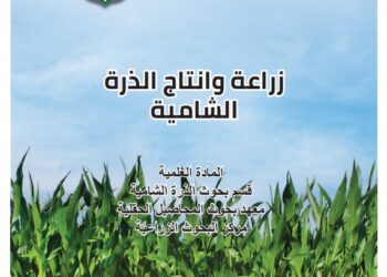 زراعة وإنتاج الذرة الشامية