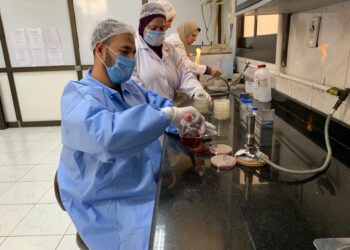 صحة الحيوان