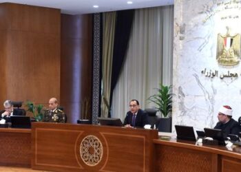 سعر أردب القمح 1500 جنيه.. مجلس الوزراء يُعلن سعر التوريد الجديد