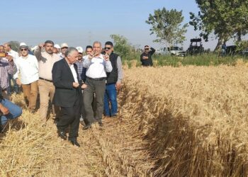 محطة بحوث سخا