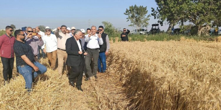 محطة بحوث سخا