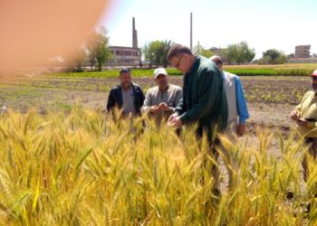 الموسم الصيفي