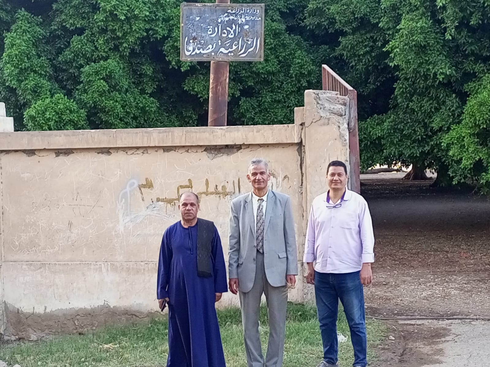 توريد القمح