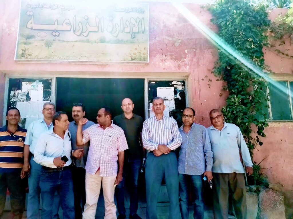 توريد القمح