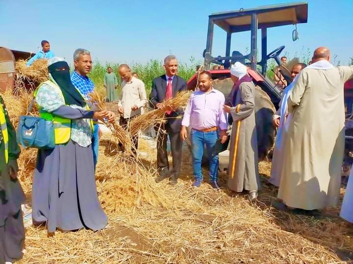توريد القمح