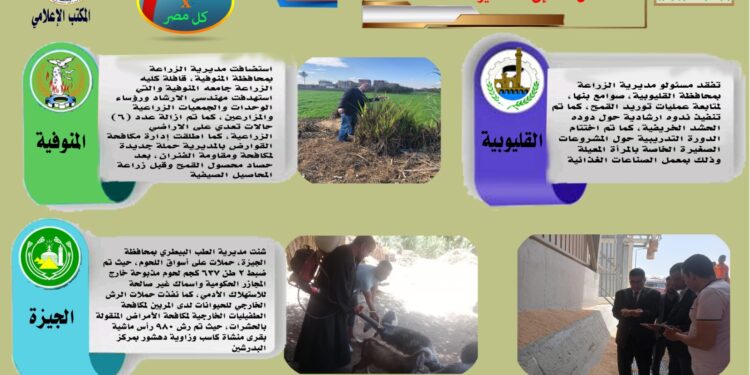 "الزراعة في كل مصر" العدد رقم ٩٥ لأهم أنشطة مديريات الزراعة والطب البيطري خلال الفترة من ٢٣ وحتى ٢٩ مايو الجاري 1 الزراعة في كل مصر