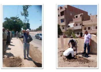 100 مليون شجرة