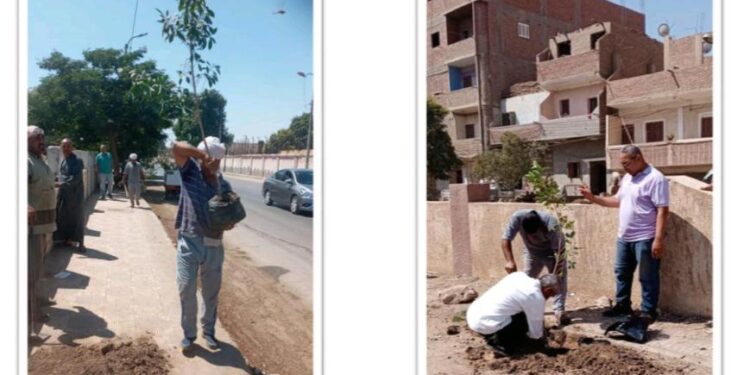 الانتهاء من المرحلة الأولى لمبادرة الرئيس السيسي زراعة 100 مليون شجرة 1 100 مليون شجرة