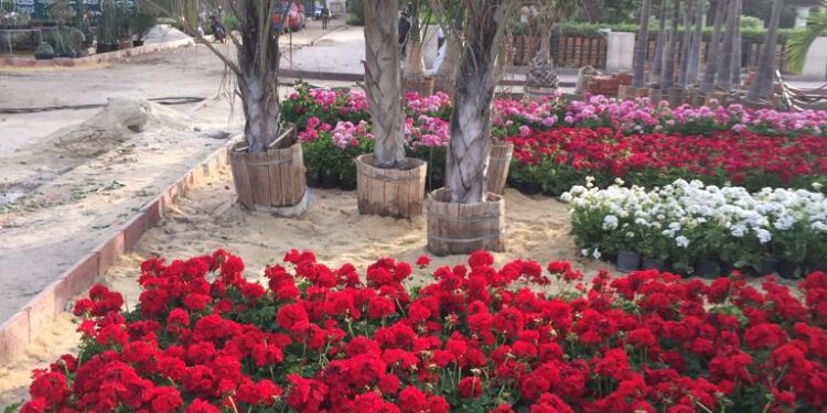 معرض زهور الربيع 2023