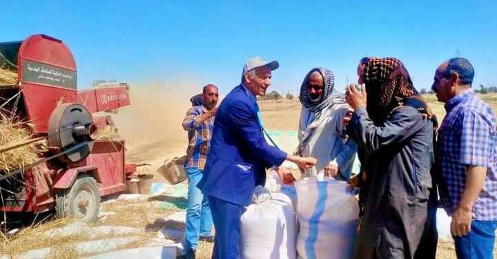 توريد القمح .. وكيل زراعة أسيوط يتابع الحصاد والتسليم في عرب مطير والعوامر 1 توريد القمح