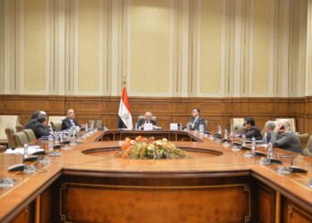 الإرشاد الزراعى: ننتج 2 مليون قنطار قطن ومنظومة جديدة لتسويق المحصول