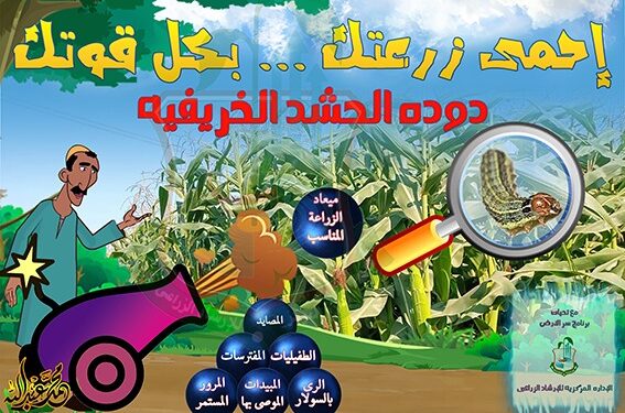 المركزية للإرشاد الزراعي تستعد لوقاية محصول الذرة من دودة الحشد الخريفية 1 المركزية للإرشاد الزراعي تستعد لوقاية محصول الذرة من دودة الحشد الخريفية