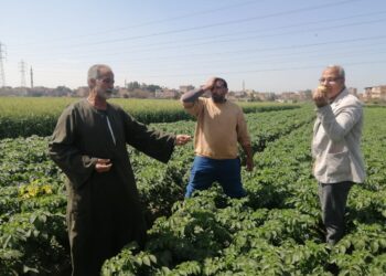 أمراض النباتات