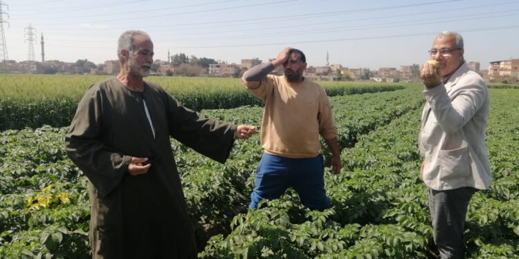 "أمراض النباتات".. حصاد نشاط المعهد خلال شهر إبريل 2023 1 أمراض النباتات