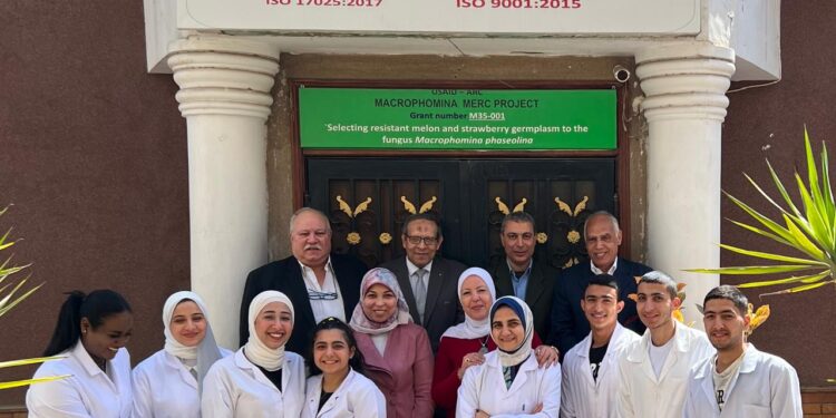 تشخيص الأمراض النباتية.. تجديد اعتماد معمل "سمارت لاب" لأربع سنوات قادمة 1 تشخيص الأمراض النباتية