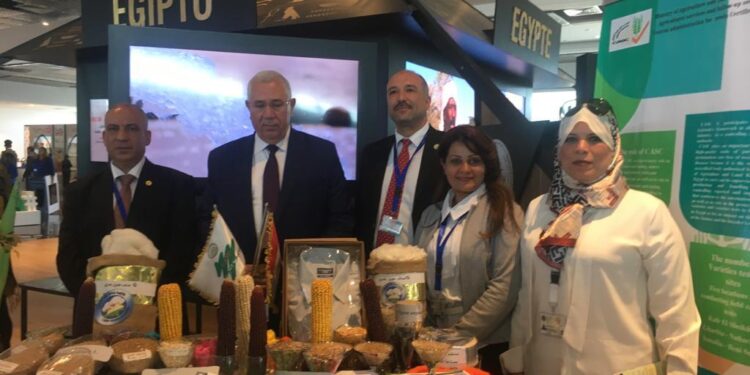 "القصير" يتفقد جناح الوزارة بشرم الشيخ 1 “القصير” يتفقد جناح الوزارة بشرم الشيخ