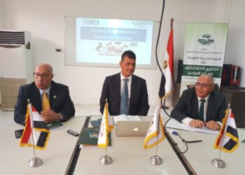 التناسليات في الجاموس