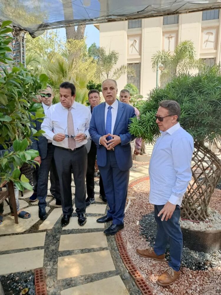 زهور الربيع