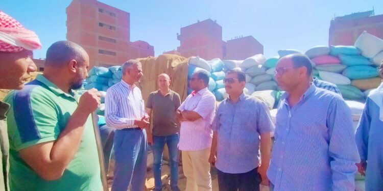 توريد القمح .. الزراعة تتابع عمليات تسليم المحصول بأسيوط 1 توريد القمح