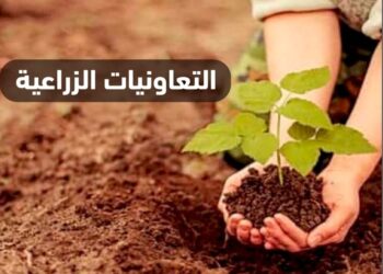 التعاونيات الزراعية