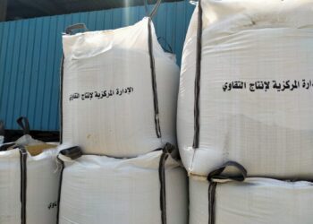 الإدارة المركزية لإنتاج التقاوي