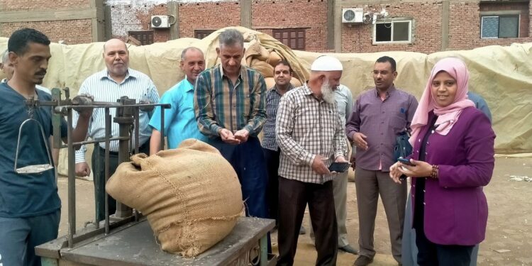 توريد القمح .. وكيل زراعة أسيوط يتابع عمليات فرز واستلام المحصول بمركز البداري 1 توريد القمح