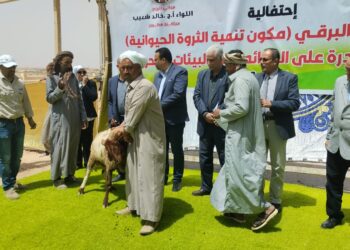 التنمية المستدامة