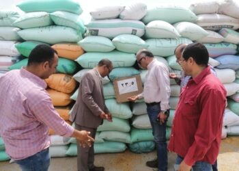 توريد القمح