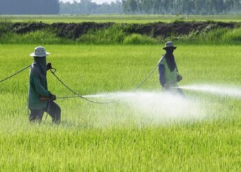 الإفراط في استخدام المبيدات