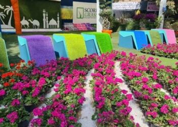 زهور الربيع