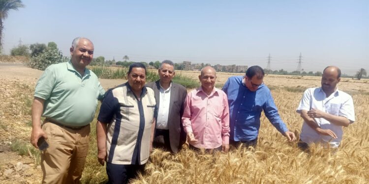 "الزراعة" تتفقد محطة بحوث شندويل والأصول التابعة لها في سوهاج 1 شندويل