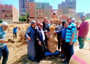 توريد القمح