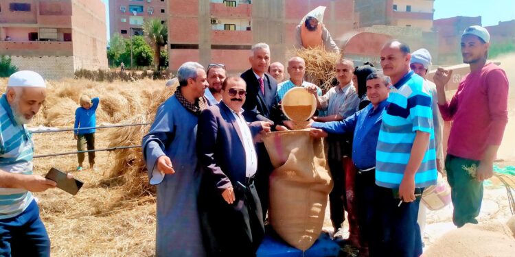 توريد القمح .. وكيل وزارة الزراعة يتابع حصاد وتسليم المحصول بمنفلوط وصدفا 1 توريد القمح