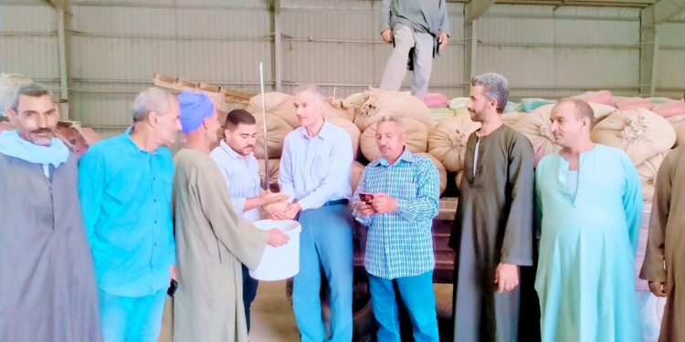 توريد القمح .. وكيل زراعة أسيوط يتفقد الحصاد والتسليم بـ صنبو ومركز أسيوط 1 توريد القمح