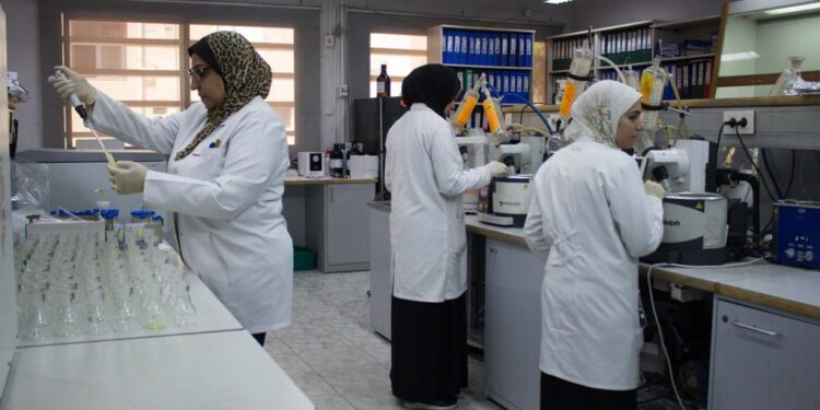 المركزي لمتبقيات المبيدات يواصل العمل خلال عُطلة عيد العمال ويستقبل ويفحص 1000 عينة منتجات زراعية 1 متبقيات المبيدات