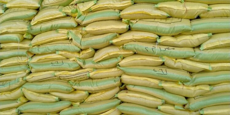 محطات الغربلة.. أهم التوصيات الفنية لأفضل حصاد وأعلى إنتاجية 1 محطات الغربلة