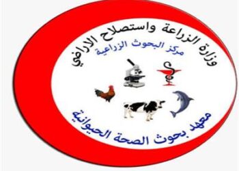 مركز التدريب والاستشارات