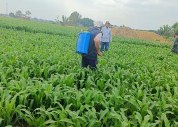 مكافحة الآفات