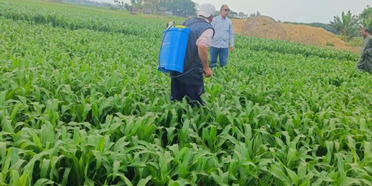 مكافحة الآفات