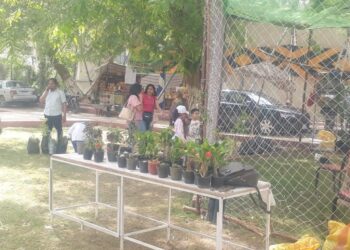 معرض زهور الربيع.. عطا: يشهد إقبال كبير من المواطنين