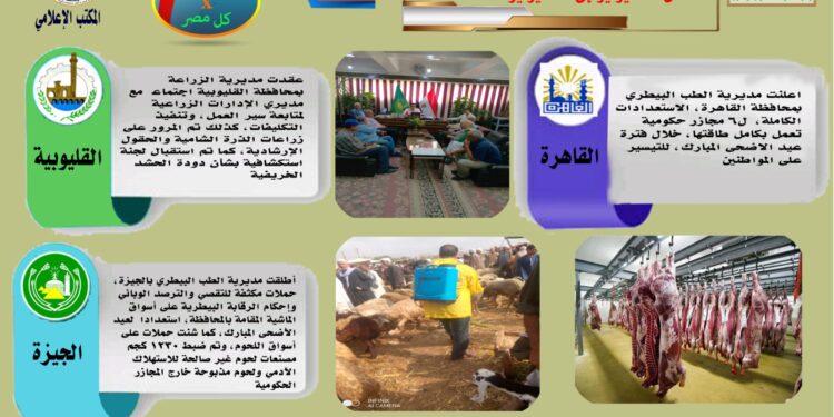 مركز المعلومات الصوتية يصدر النشرة 99 عن أنشطة المديريات