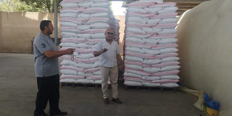 التقاوي المعتمدة